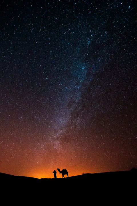 Night Silhouette Phone Wallpaper · amoled · 1440×2159