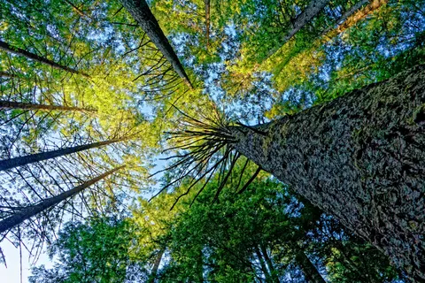Hình nền Thiên nhiên 4K · nature · 3840×2560