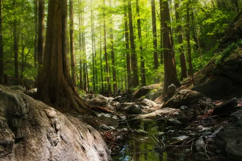 Natuur 4K-achtergrond · nature · 3840×2560