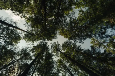 Hình nền Thiên nhiên 4K · nature · 3840×2560