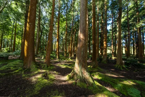 Hình nền Thiên nhiên 4K · nature · 3840×2560