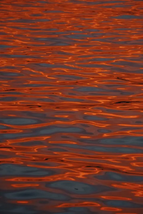 Тёмная вода обои для телефона · amoled · 1440×2160