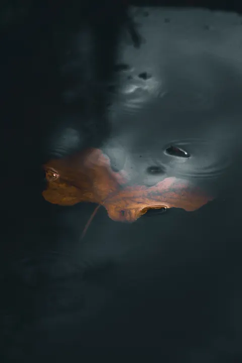 Dunkles Wasser Handy-Hintergrundbild · amoled · 1440×2160