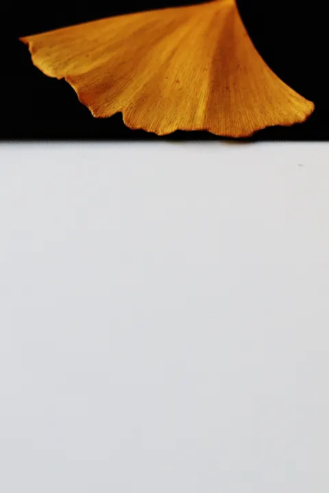 Vật Thể Đen Hình Nền Điện Thoại · amoled · 1440×2160