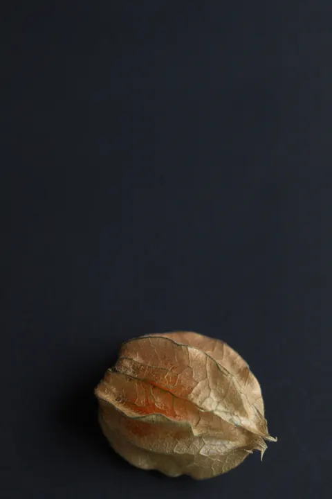 Black Object Phone Wallpaper · amoled · 1440×2160