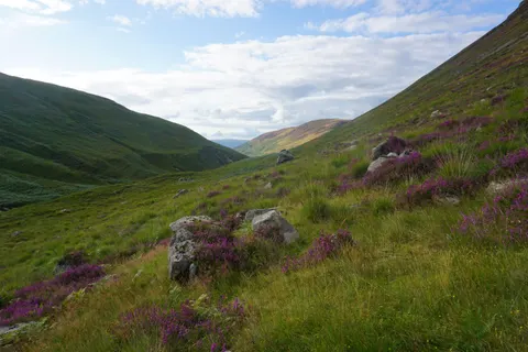 Scottish Highlands 4K Wallpaper · nature · 3840×2560