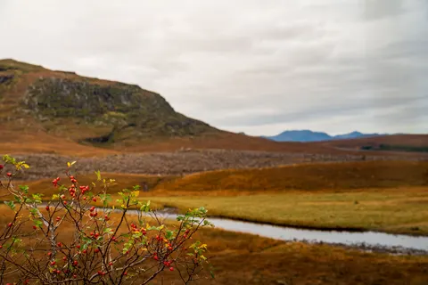 자연 4K 배경화면 · nature · 3840×2560