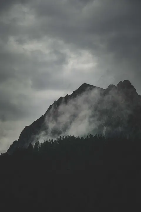 Fondo de Pantalla para Móvil Bosque Negro · amoled · 1440×2160