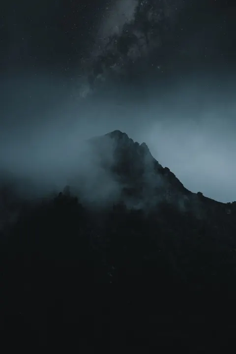 Fondo de Pantalla para Móvil Bosque Negro · amoled · 1440×2160