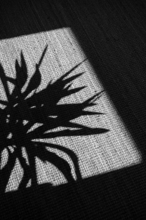Fond d'écran mobile Contraste Élevé · amoled · 1440×2160