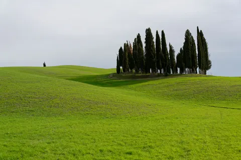 والپیپر طبیعت با کیفیت 4K · nature · 3840×2560