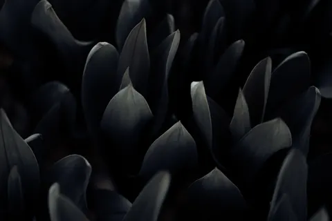 Papel de parede Abstrato Escuro 4K · dark · 3840×2560