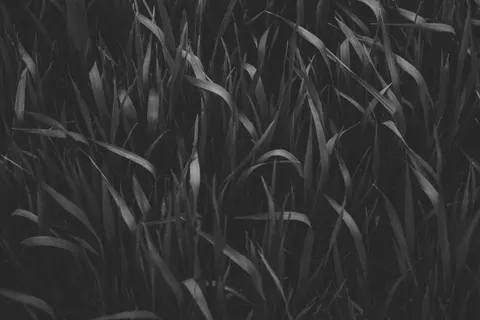 Dunkles Abstrakt 4K Hintergrundbild · dark · 3840×2560