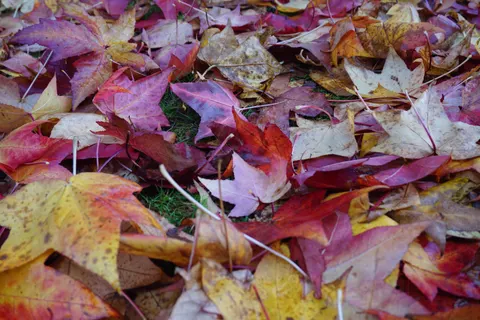 والپیپر طبیعت با کیفیت 4K · nature · 3840×2560