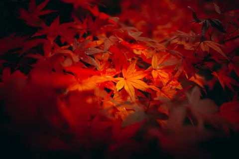 자연 4K 배경화면 · nature · 3840×2556