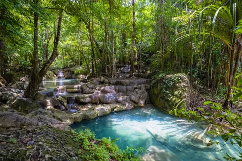 Rainforest Waterfall 4K Wallpaper · nature · 3840×2560