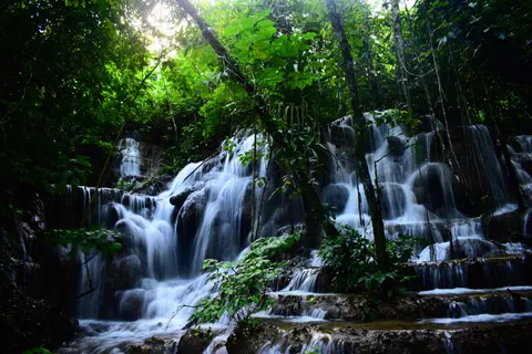 Rainforest Waterfall 4K Wallpaper · nature · 3840×2560