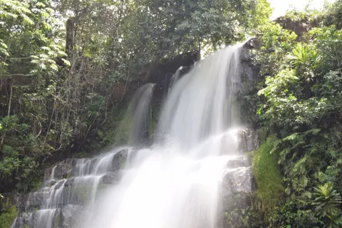 वर्षावन का झरना 4K वॉलपेपर · nature · 3840×2560