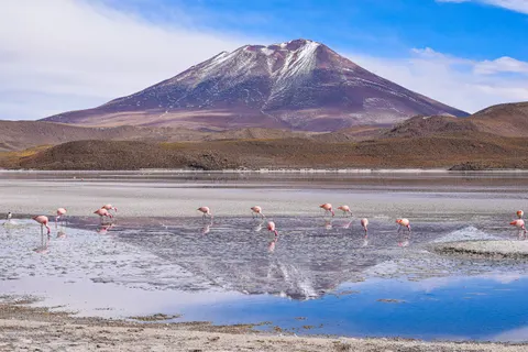 Papel de parede Natureza 4K · nature · 3840×2560