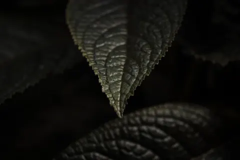 Sfondo Texture Scura 4K · dark · 3840×2560