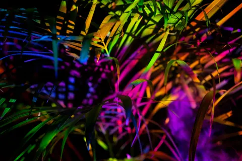 Fondo de pantalla Luces de Neón 4K · neon · 3840×2560