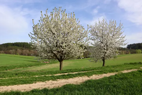 والپیپر طبیعت با کیفیت 4K · nature · 3840×2560