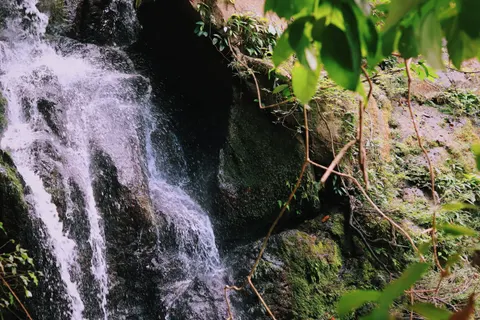 열대우림 폭포 4K 배경화면 · nature · 3840×2560