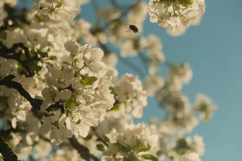 प्रकृति 4K वॉलपेपर · nature · 3840×2560