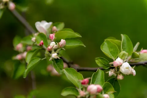 Fondo de pantalla Naturaleza 4K · nature · 3840×2563