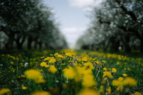 Wallpaper Alam 4K · nature · 3840×2560