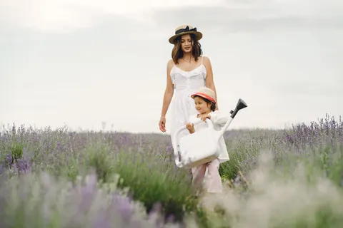 Lavender Field 4K Wallpaper · flowers · 3840×2560