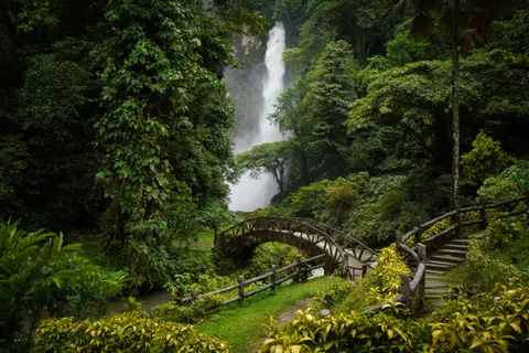 Rainforest Waterfall 4K Wallpaper · nature · 3840×2560