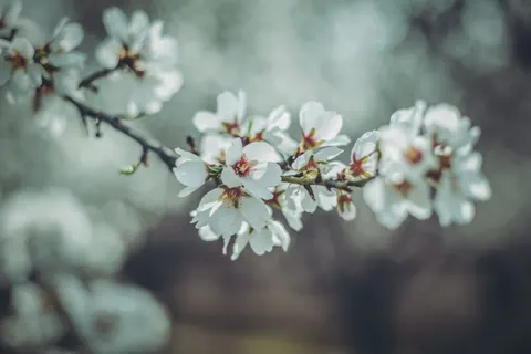 Hình nền Thiên nhiên 4K · nature · 3840×2560