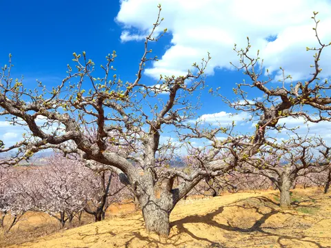 والپیپر طبیعت با کیفیت 4K · nature · 3840×2880