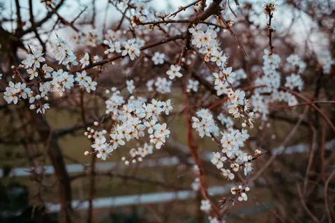 自然 4K壁紙 · nature · 3840×2560
