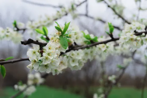 Wallpaper Alam 4K · nature · 3840×2560