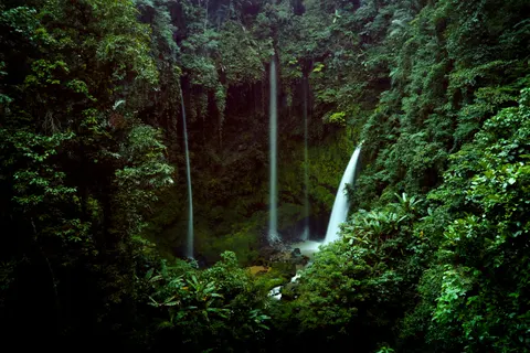 Rainforest Waterfall 4K Wallpaper · nature · 3840×2560