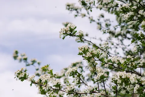 Fondo de pantalla Naturaleza 4K · nature · 3840×2563