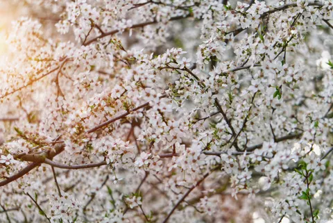 والپیپر طبیعت با کیفیت 4K · nature · 3840×2565