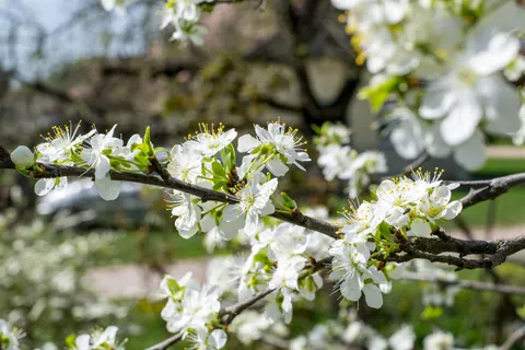 Hình nền Thiên nhiên 4K · nature · 3840×2560