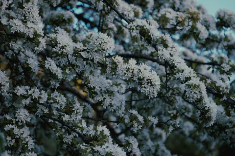 प्रकृति 4K वॉलपेपर · nature · 3840×2560