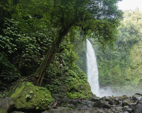 वर्षावन का झरना 4K वॉलपेपर · nature · 3840×3072