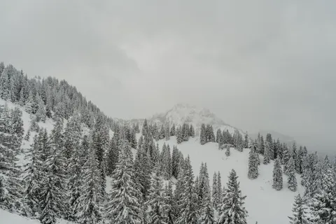 冬山 4K壁紙 · winter · 3840×2560