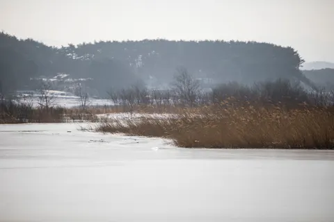 Hình nền Hồ Mùa Đông 4K · winter · 3840×2560