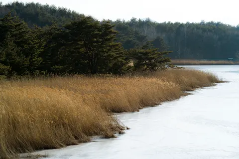 Winter Lake 4K Wallpaper · winter · 3840×2552