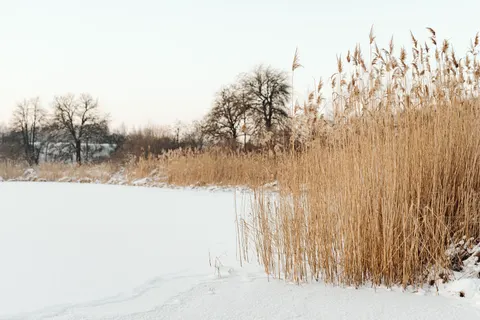 Winter Lake 4K Wallpaper · winter · 3840×2560