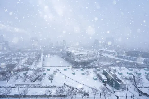 Hình nền Tuyết Rơi 4K · winter · 3840×2560