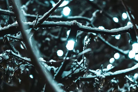 落雪 4K壁纸 · winter · 3840×2560