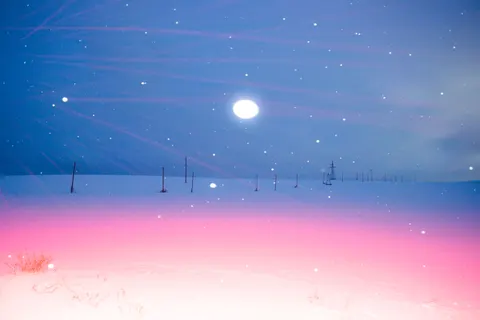 降雪 4K壁紙 · winter · 3840×2563