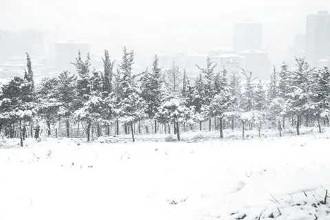 Обои Снегопад 4K · winter · 3840×2560